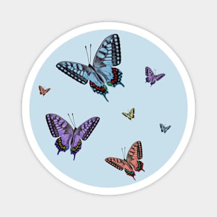 Colorful Butterflies Magnet